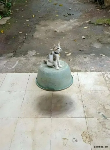 Посмеялся сам - поделись с другом!!!