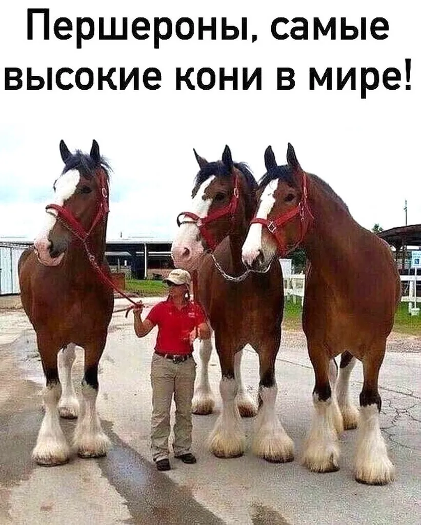 Это интересно!