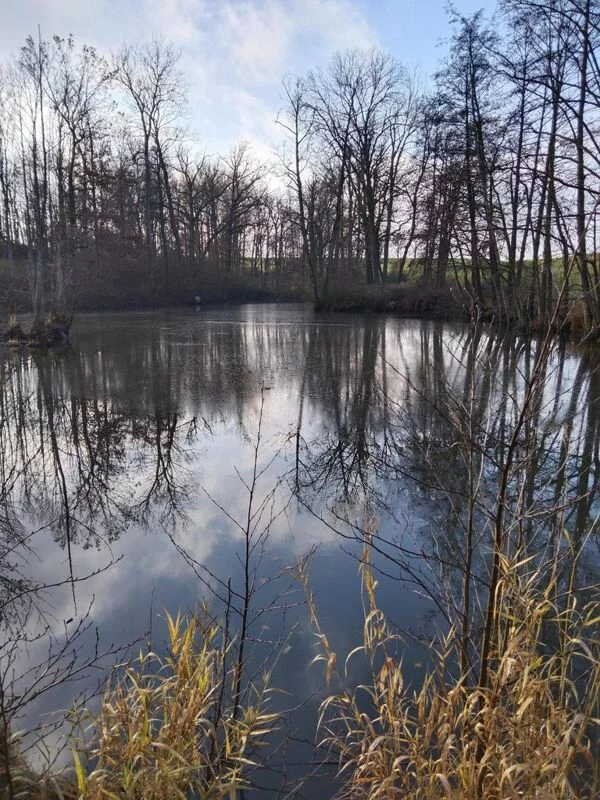 Чайная беседка