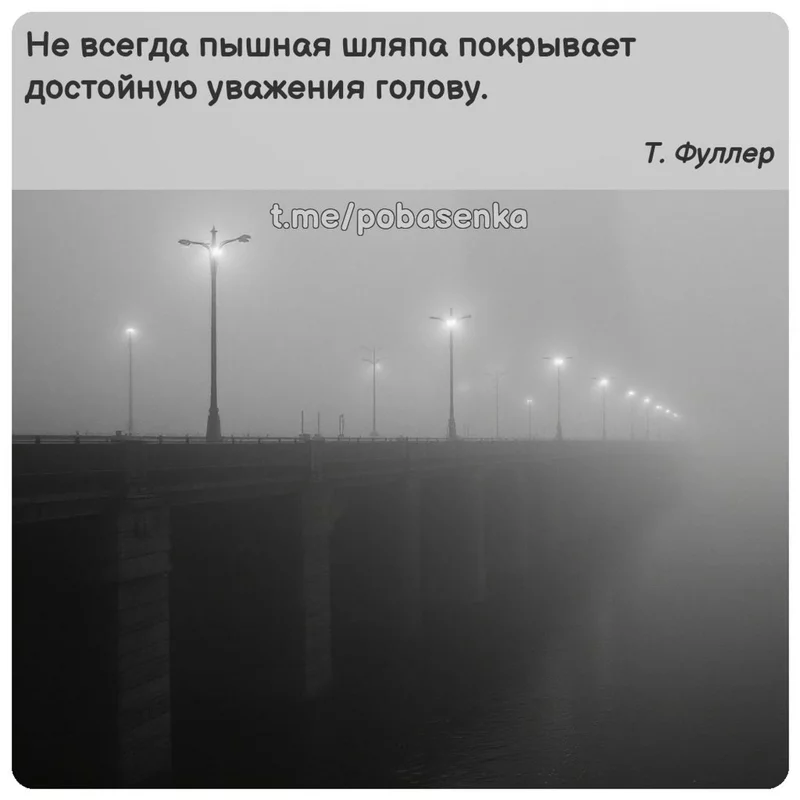 «Не всегда пышная шляпа покрывает достойную уважения...» height="550" width="550"
