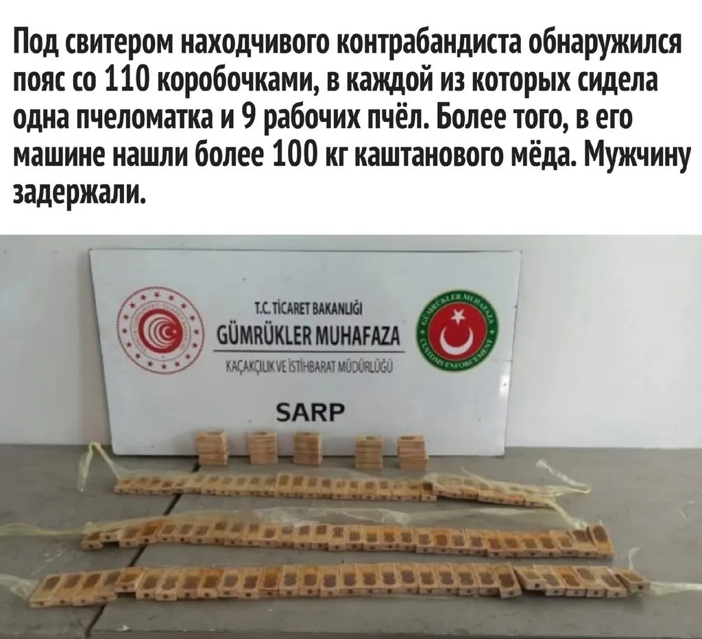 Пчёлки очень любят мёд