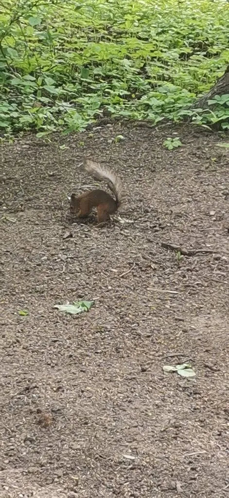Выходные в Питере, или Куда сходить с друзьями в Санкт-Петербурге