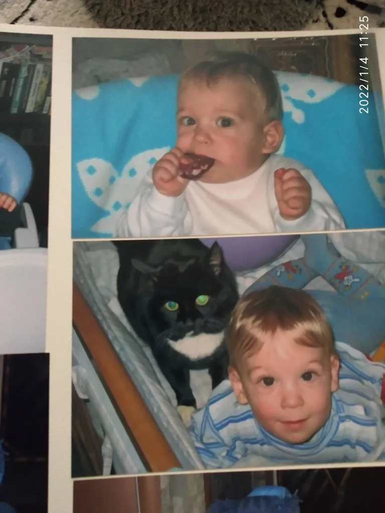 Tapтaлeтки & Ко