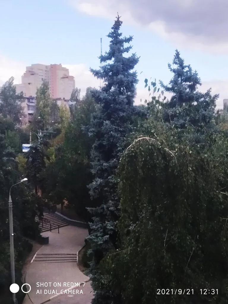 Чайная беседка