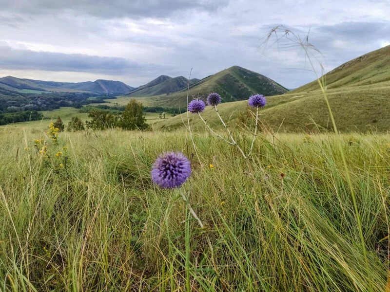 Фотонастроение