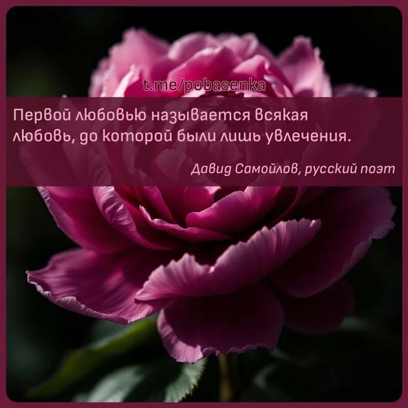 «Первой любовью называется всякая любовь, до которой были лишь...» height="550" width="550"