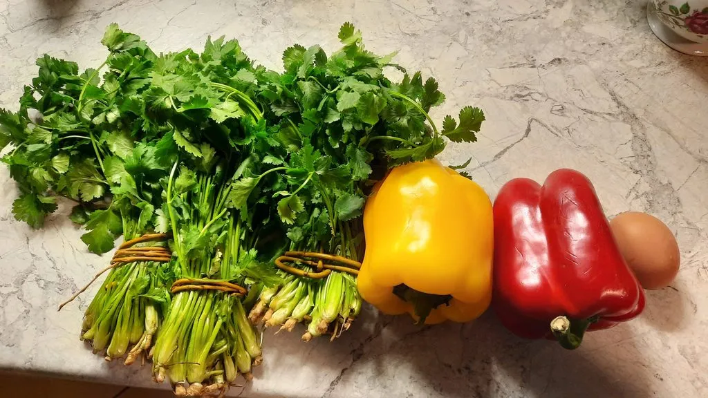 Где, что и когда купить в Москве