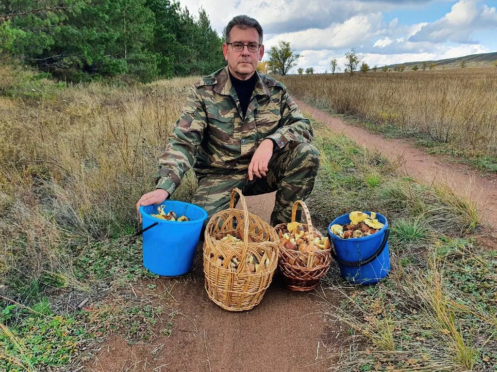 По грибы с лукошком