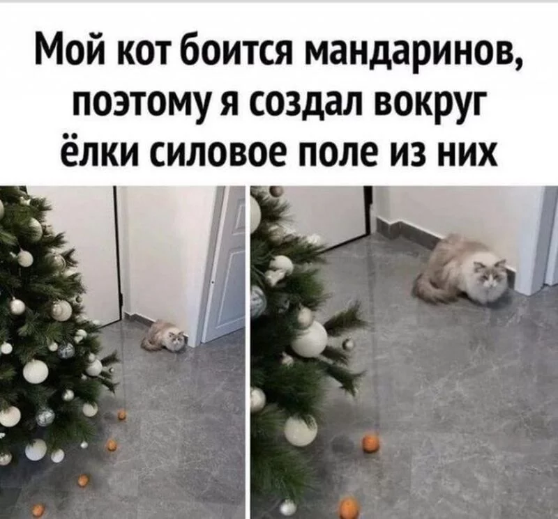 Посмеялся сам - поделись с другом!!!