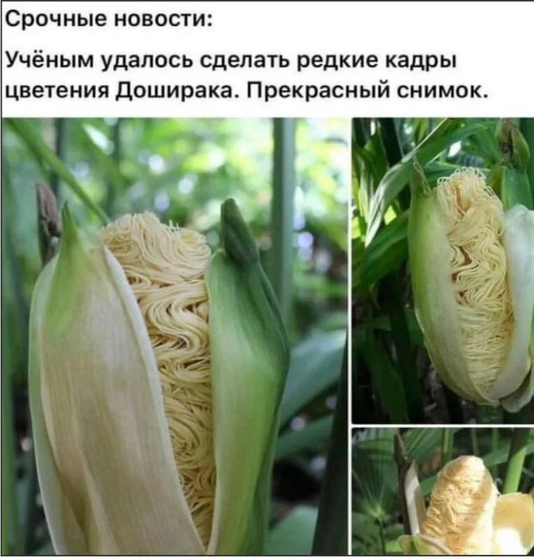 Посмеялся сам - поделись с другом!!!
