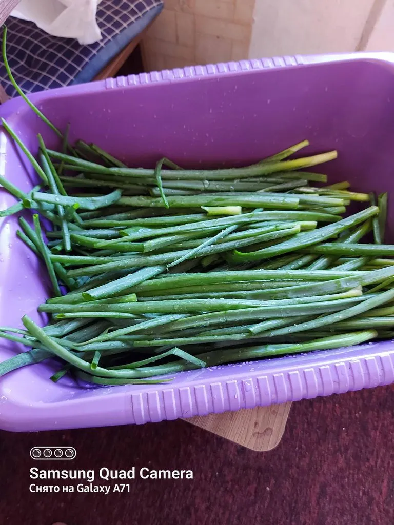 Чайная беседка