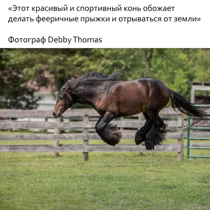 Это интересно!