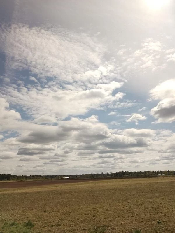 Такое разное небо