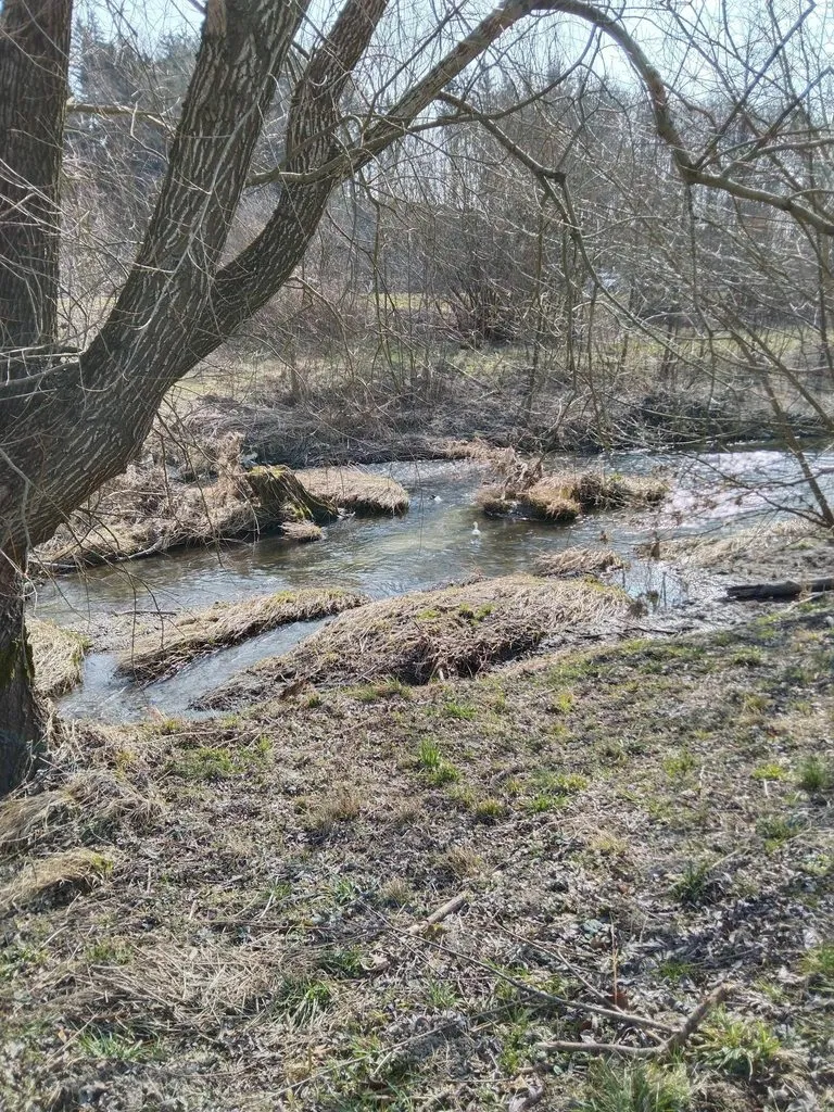 Чайная беседка