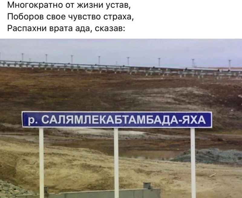Всюду рифмы