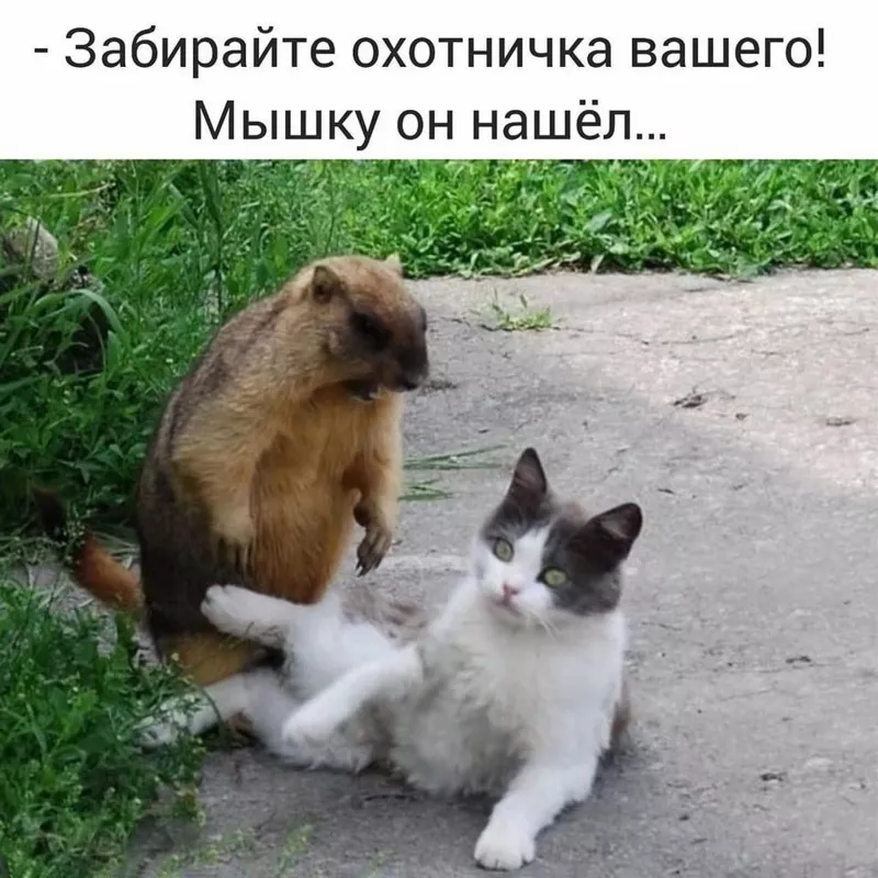 Посмеялся сам - поделись с другом!!!