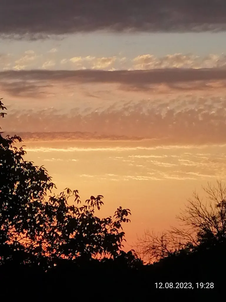 Чайная беседка