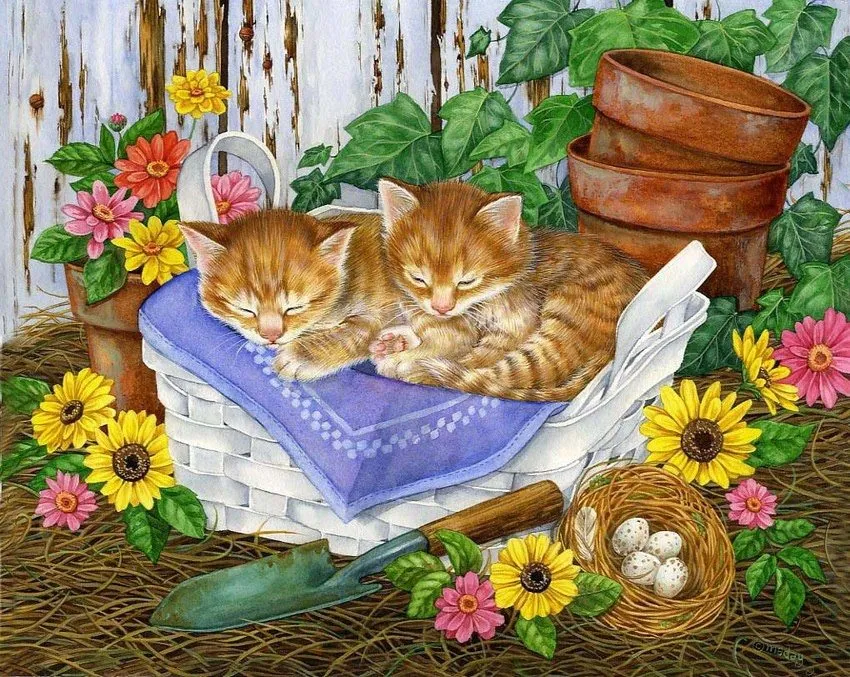 Кафе «У пани Сони»