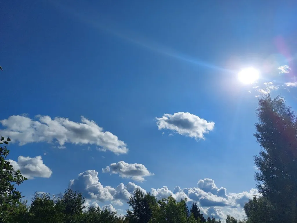 Такое разное небо