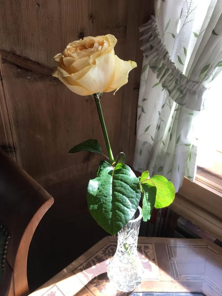 Чайная беседка