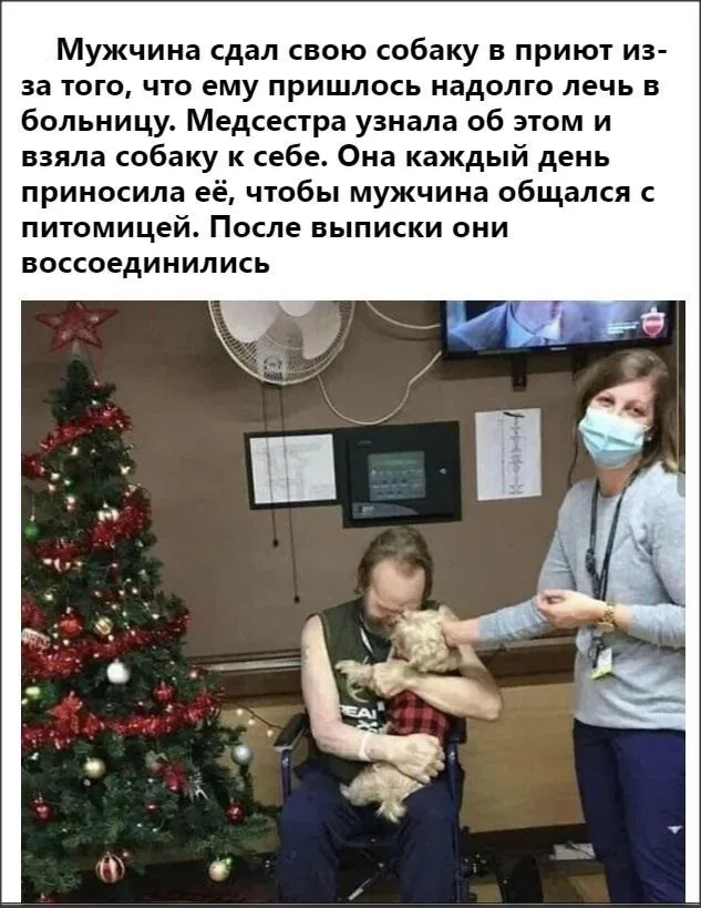 Позитивчик (фото, видео, рассказы для хорошего настроения)