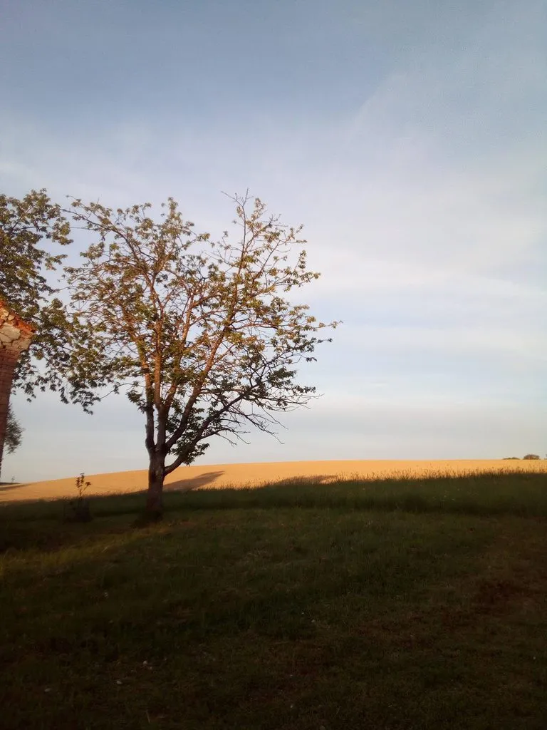 Чайная беседка