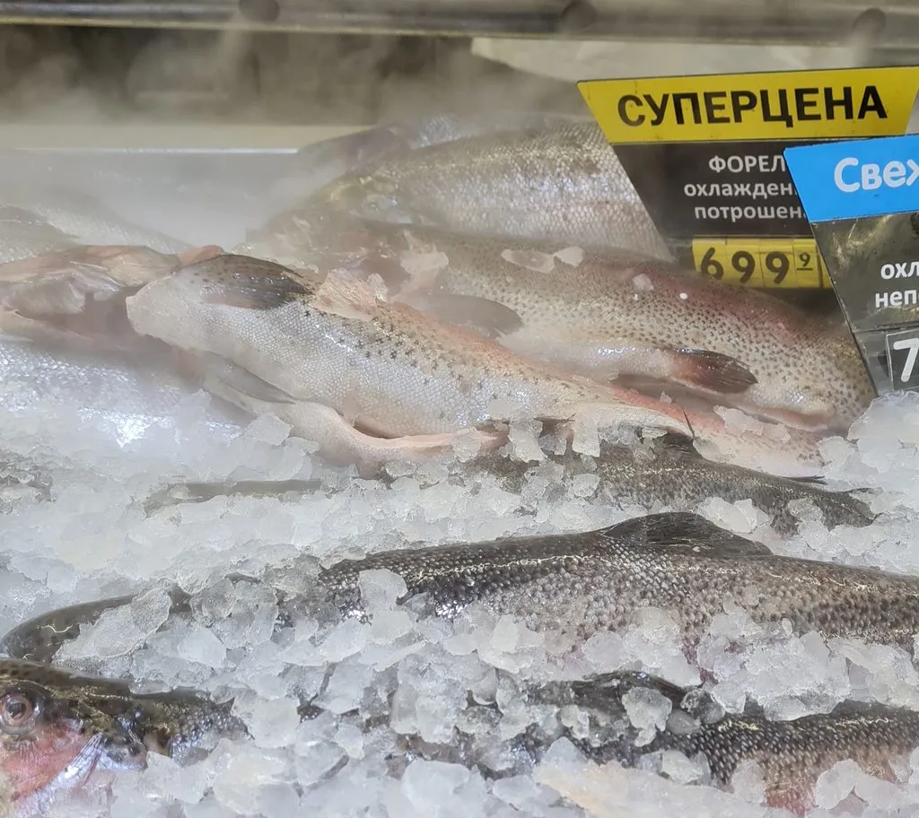 Где, что и когда купить в Москве