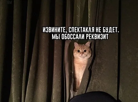 Tapтaлeтки & Ко