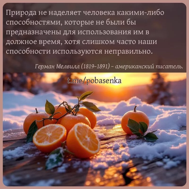 «Природа не наделяет человека какими либо способностями, которые не были бы предназначены для использования им в должное...» height="550" width="550"