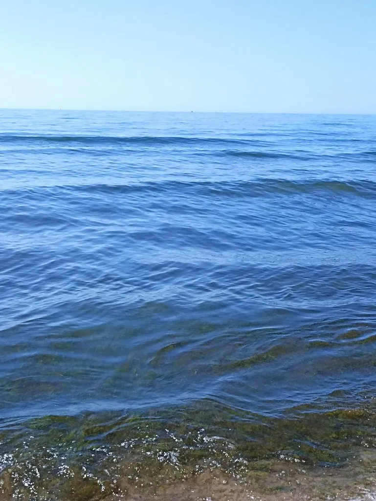 Калининградская область (не только море и янтарь) 