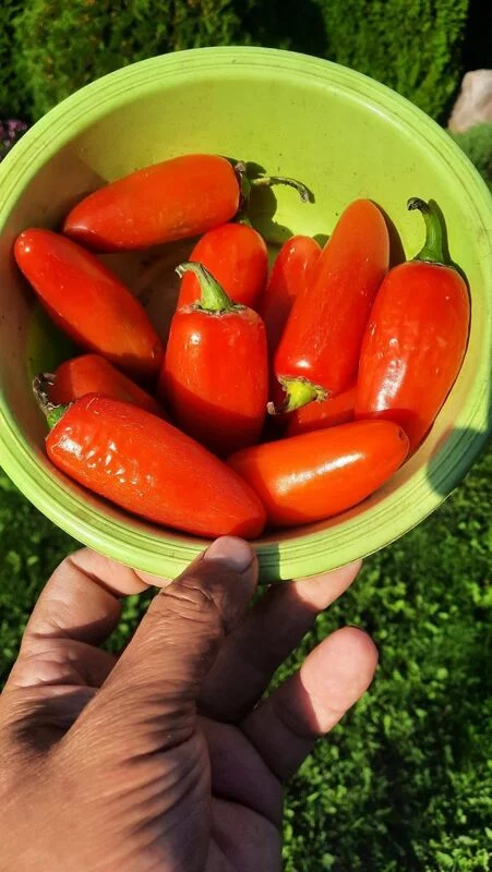 Где, что и когда купить в Москве