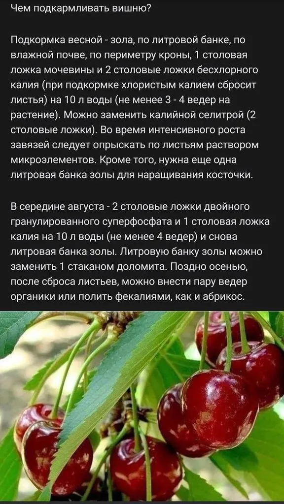 Садово-огородная  инфографика