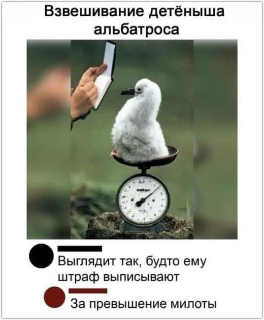 Посмеялся сам - поделись с другом!!!