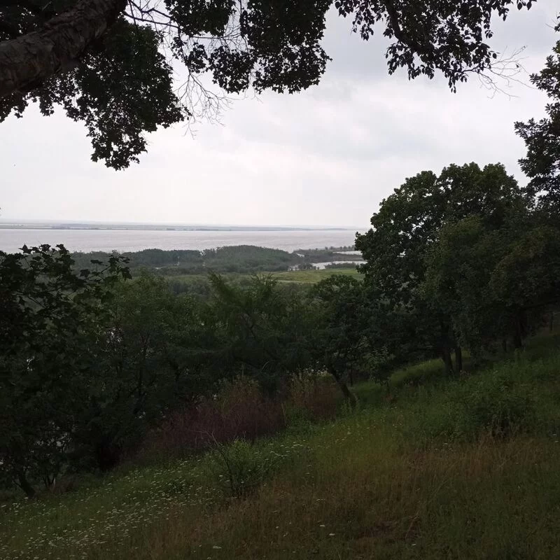 Флора