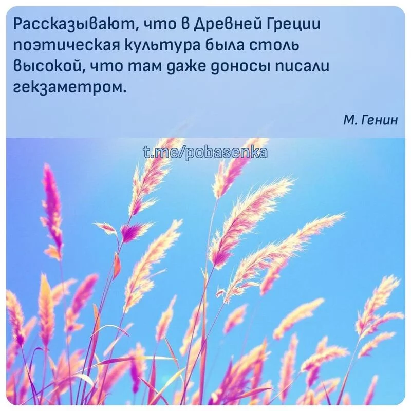 «Рассказывают, что в Древней Греции поэтическая культура была столь высокой, что там даже доносы писали...» height="550" width="550"