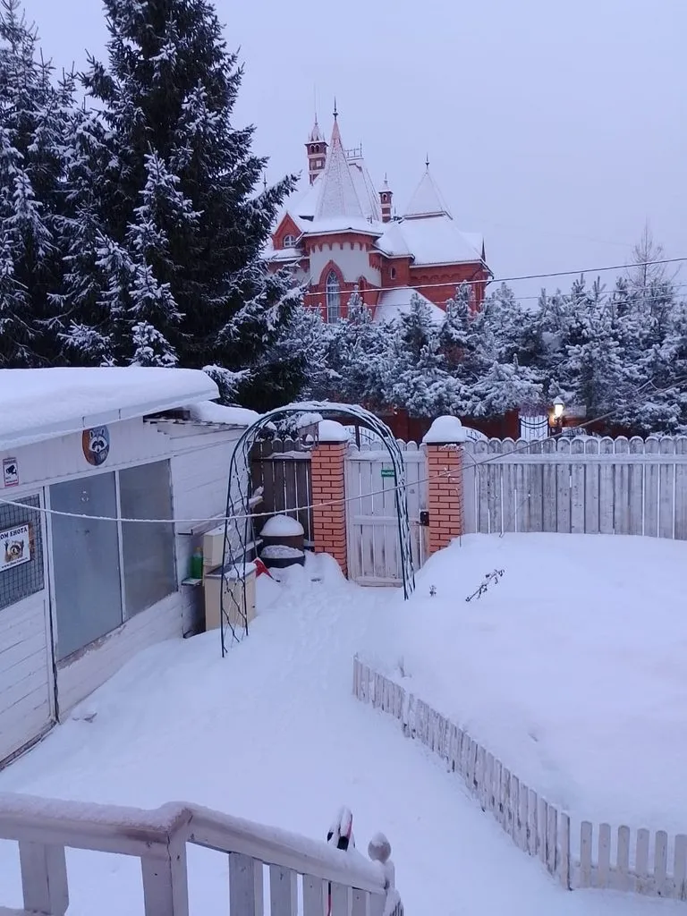 Чайная беседка