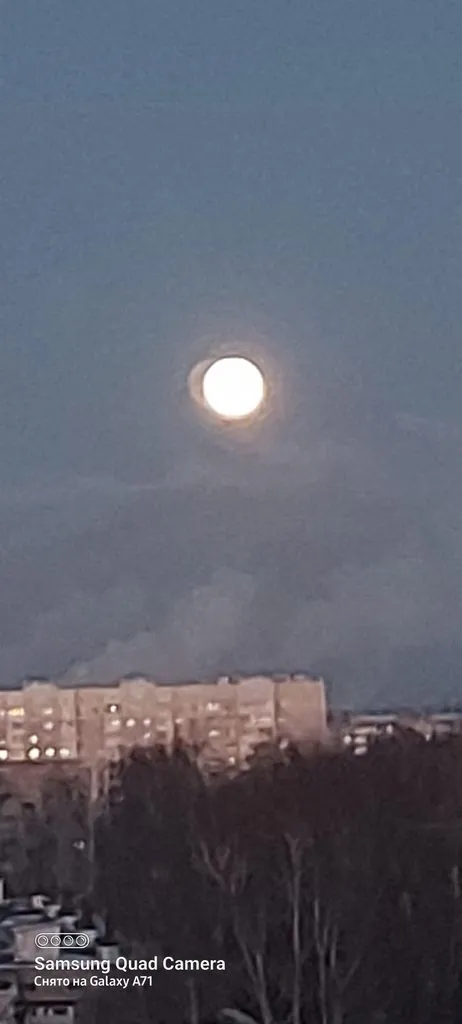 Tapтaлeтки & Ко