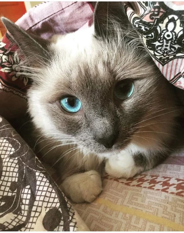 Рассказы для души