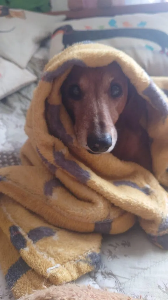 Живой Журнал Жульена