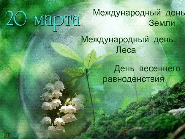 Tapтaлeтки & Ко