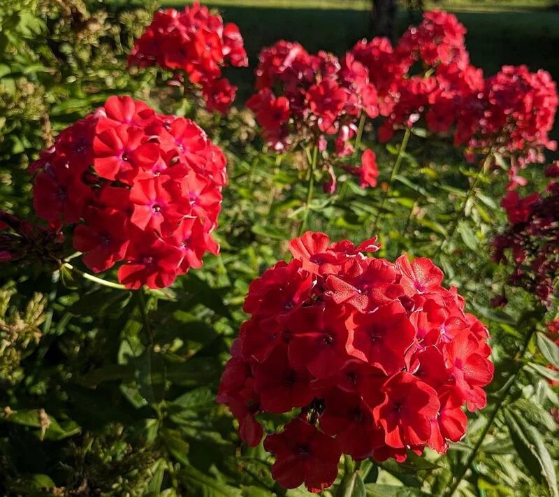 Tapтaлeтки & Ко