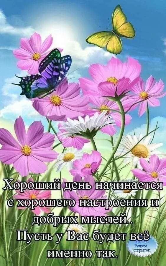 Tapтaлeтки & Ко