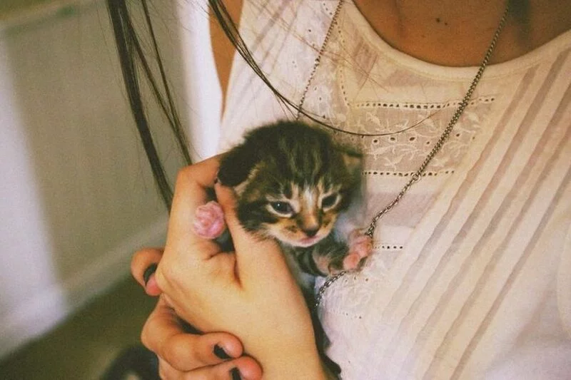 Рассказы для души