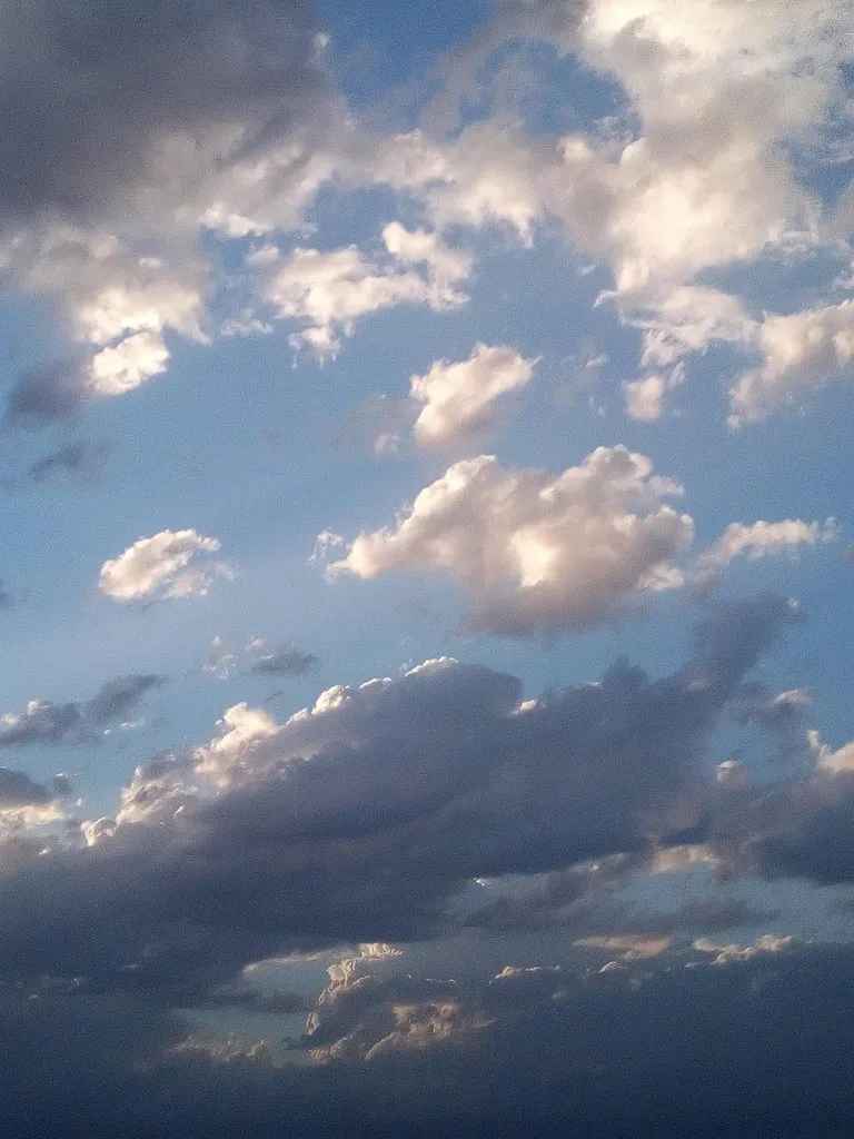 Чайная беседка