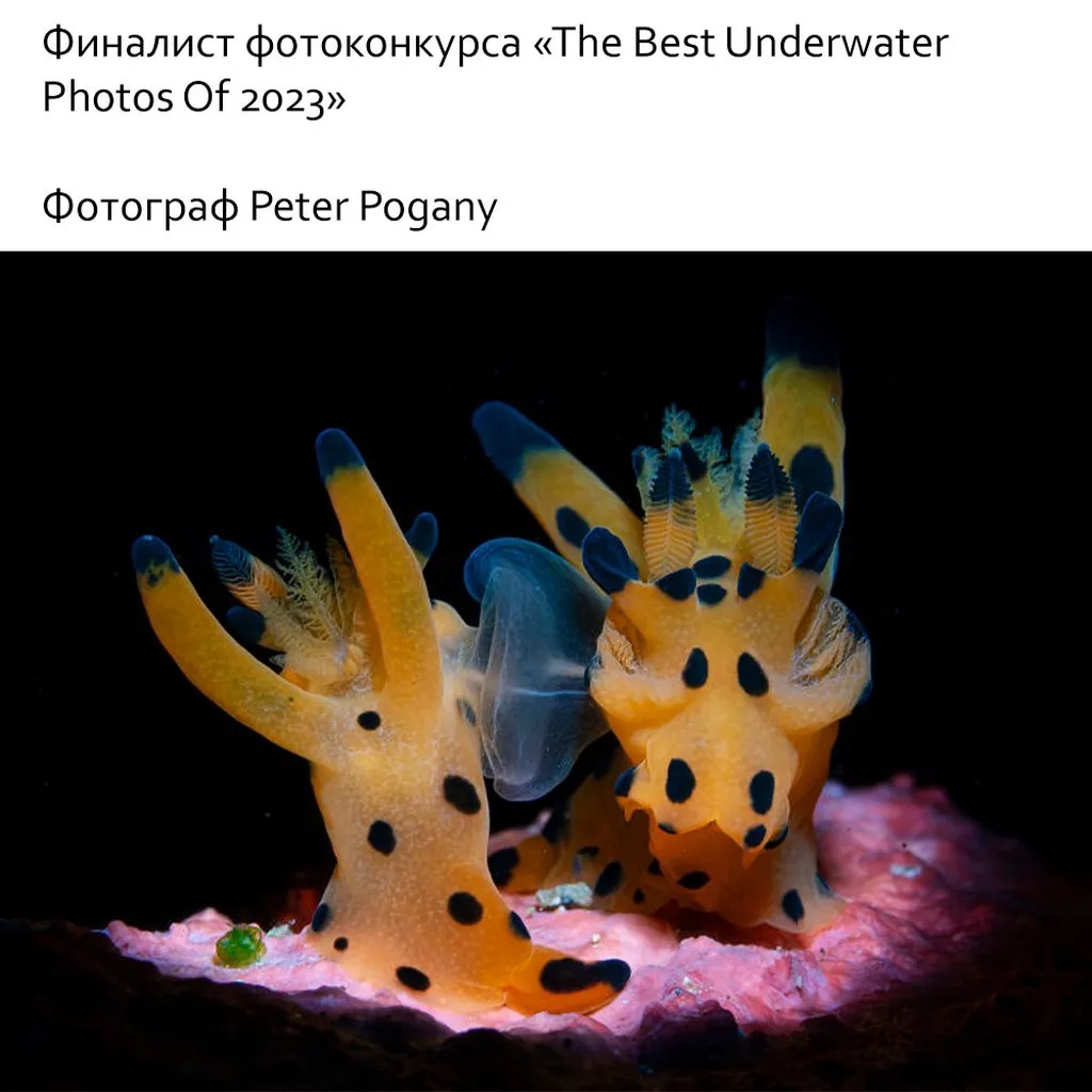 Это интересно!