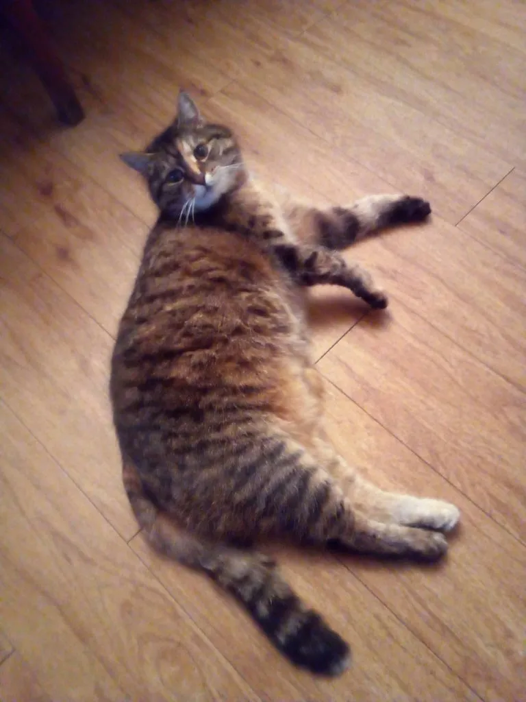 Чайная беседка