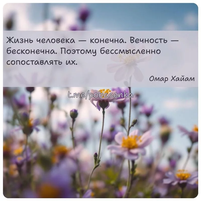 «Жизнь человека — конечна. Вечность — бесконечна. Поэтому бессмысленно сопоставлять...» height="550" width="550"