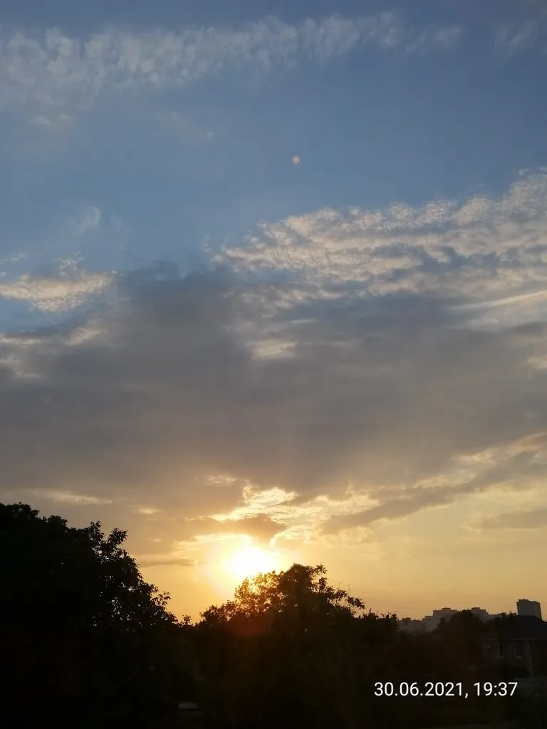 Чайная беседка