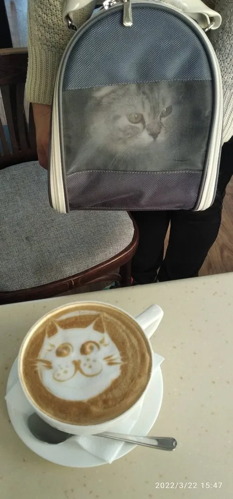 Tapтaлeтки & Ко