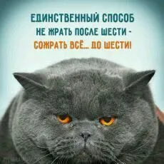 Посмеялся сам - поделись с другом!!!